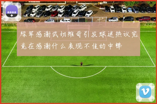 绿军感谢武切维奇引发球迷热议究竟在感谢什么表现不佳的中锋